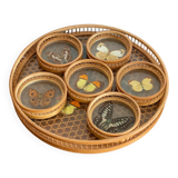 Rattan butterfly tray and coasters