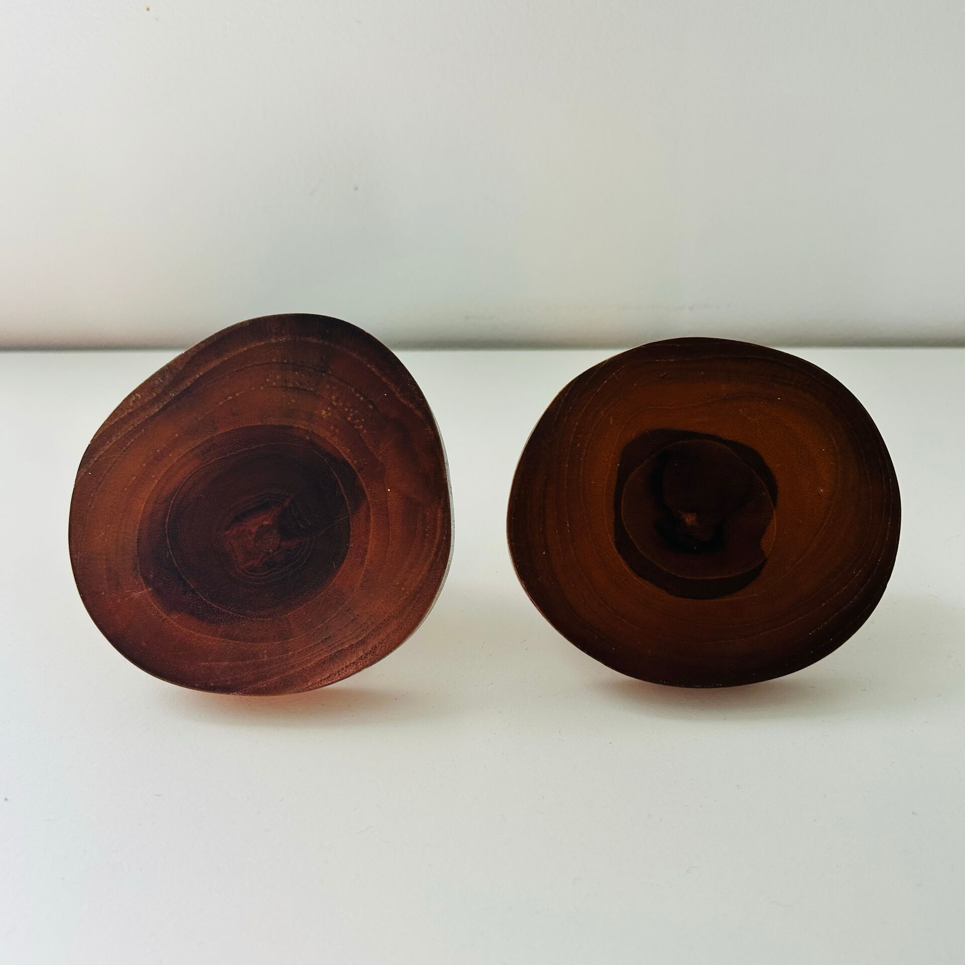 Pair of Scandinavian trunk hooks