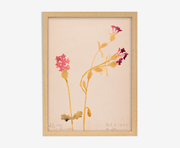 Aquarelle fleur