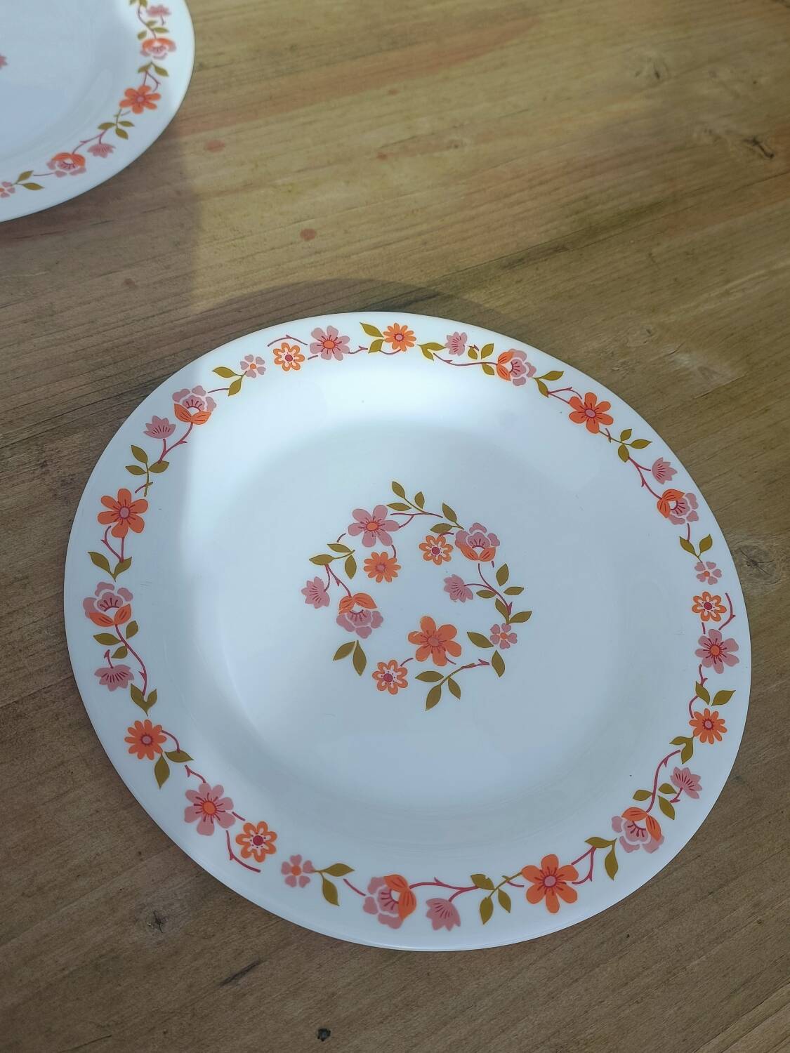 10 vintage Scania dessert plates