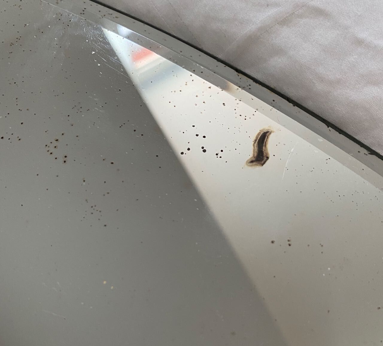 Oval bevelled mirror - 72x51cm