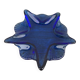 Plat étoile en verre bleu