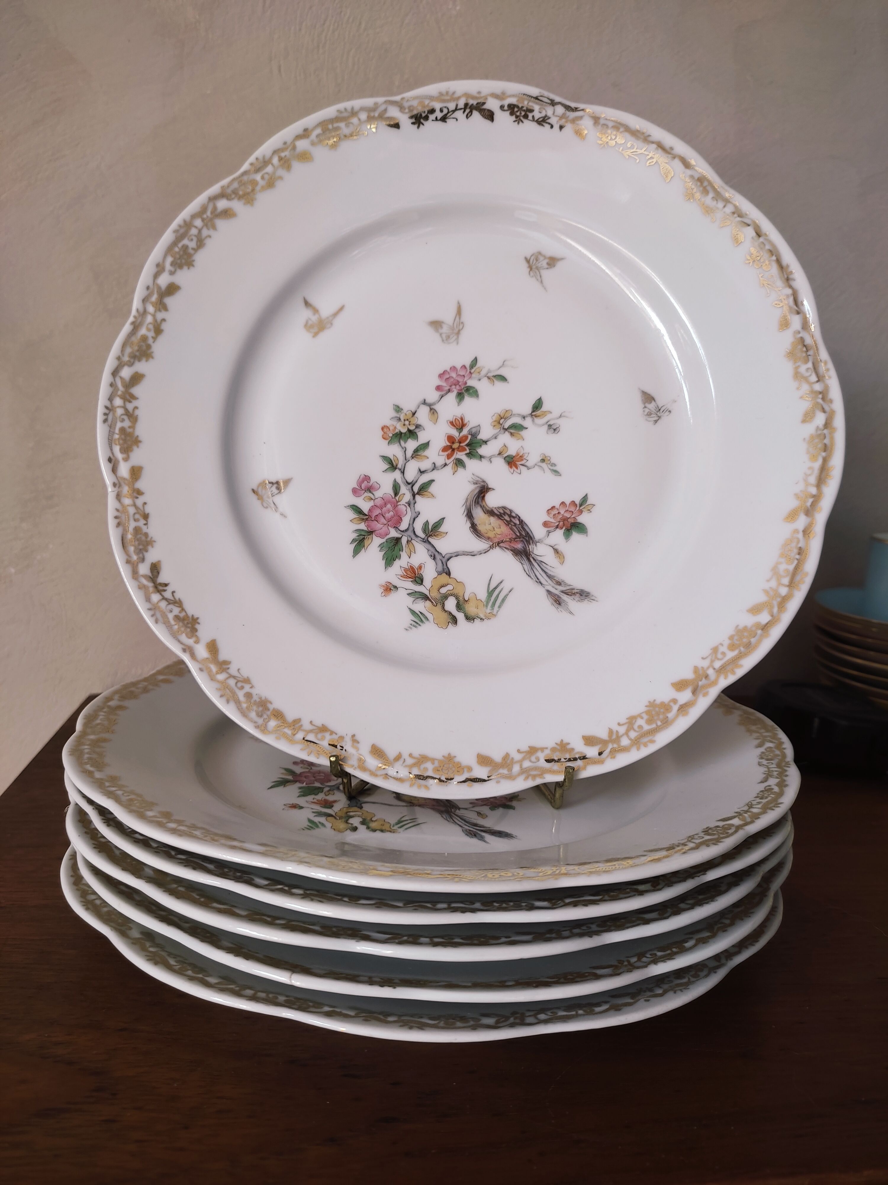 6 flat plates model bird of paradise
