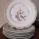 6 flat plates model bird of paradise
