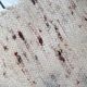 Vintage indian kilim handmade carpet 54cm x 118cm, 1970s