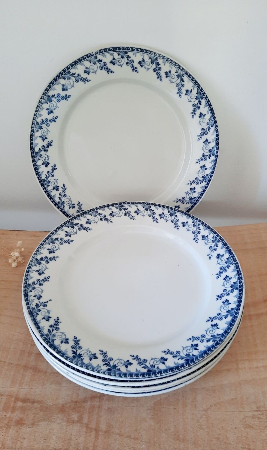 Flat plates Terre de Fer Montigny