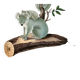 Poster about the Koala, based on an old engraving from 1774.