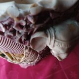 Chinese vase