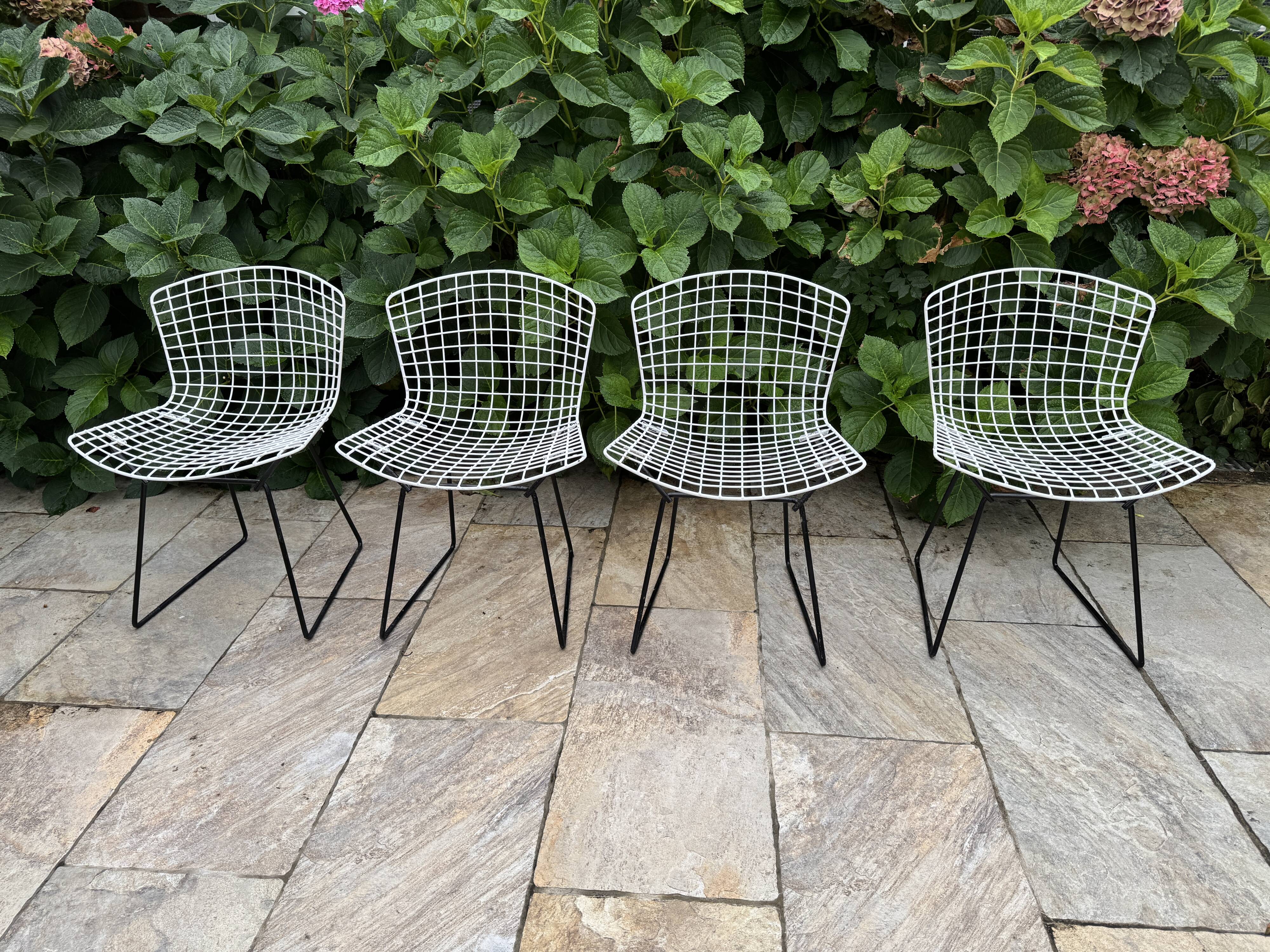 Chaise vintage Bertoia