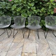 Vintage Bertoia chair