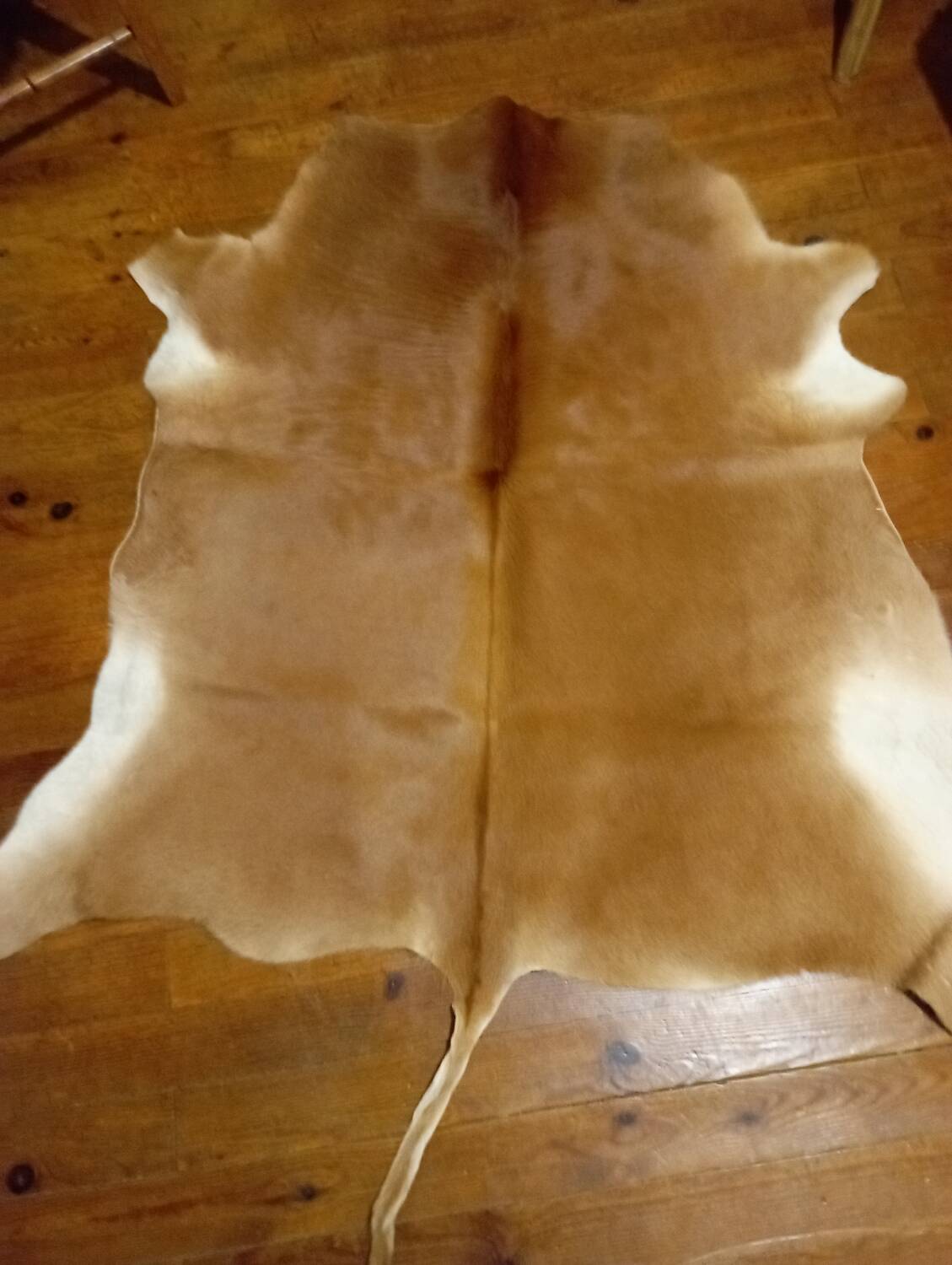 Cowhide rug