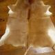 Cowhide rug