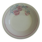 salad bowl or vegetable bowl