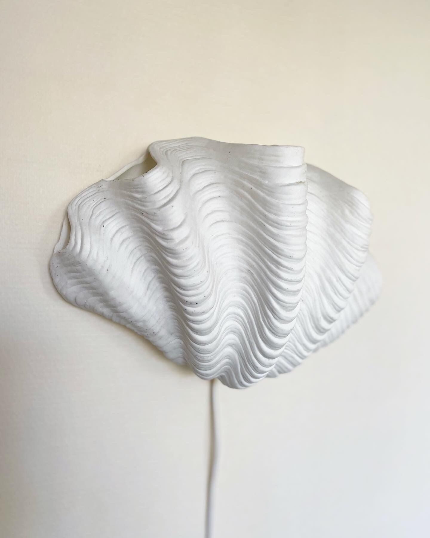 Ceramic shell wall lamp