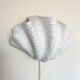 Ceramic shell wall lamp