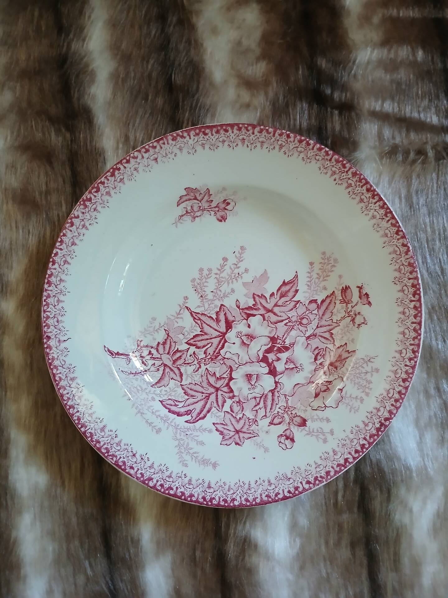 6 assiettes creuses anciennes en Terre de fer