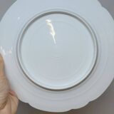 8 Superb Antique 19th Century Plates Decorated with Birds on Branches