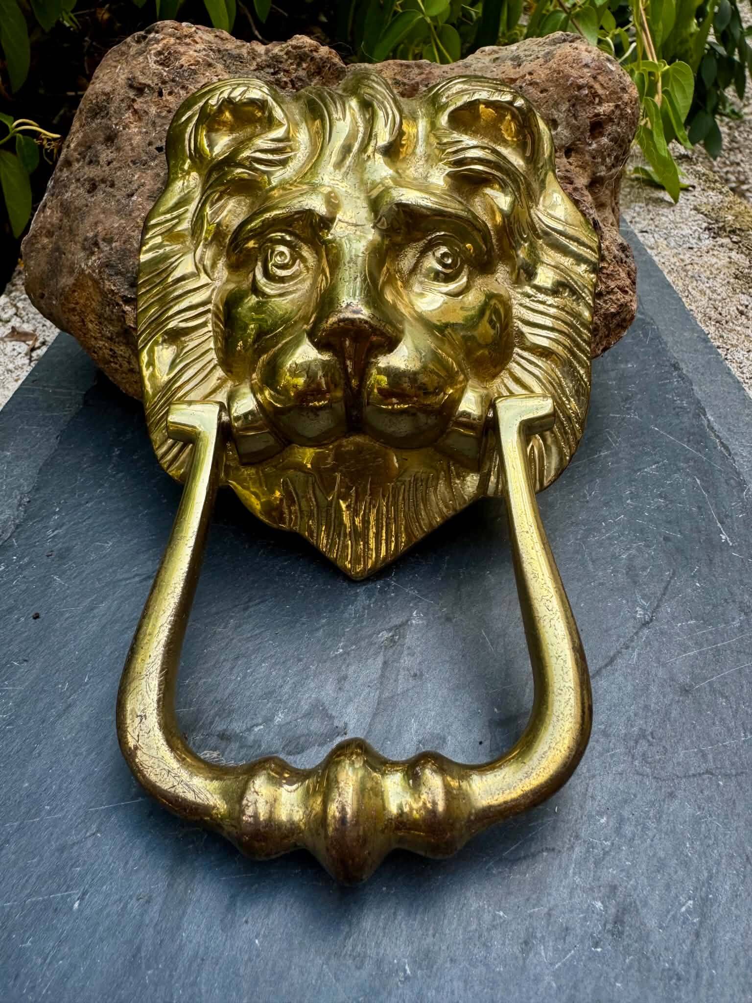 Large lion door knocker in solid brass Art Nouveau