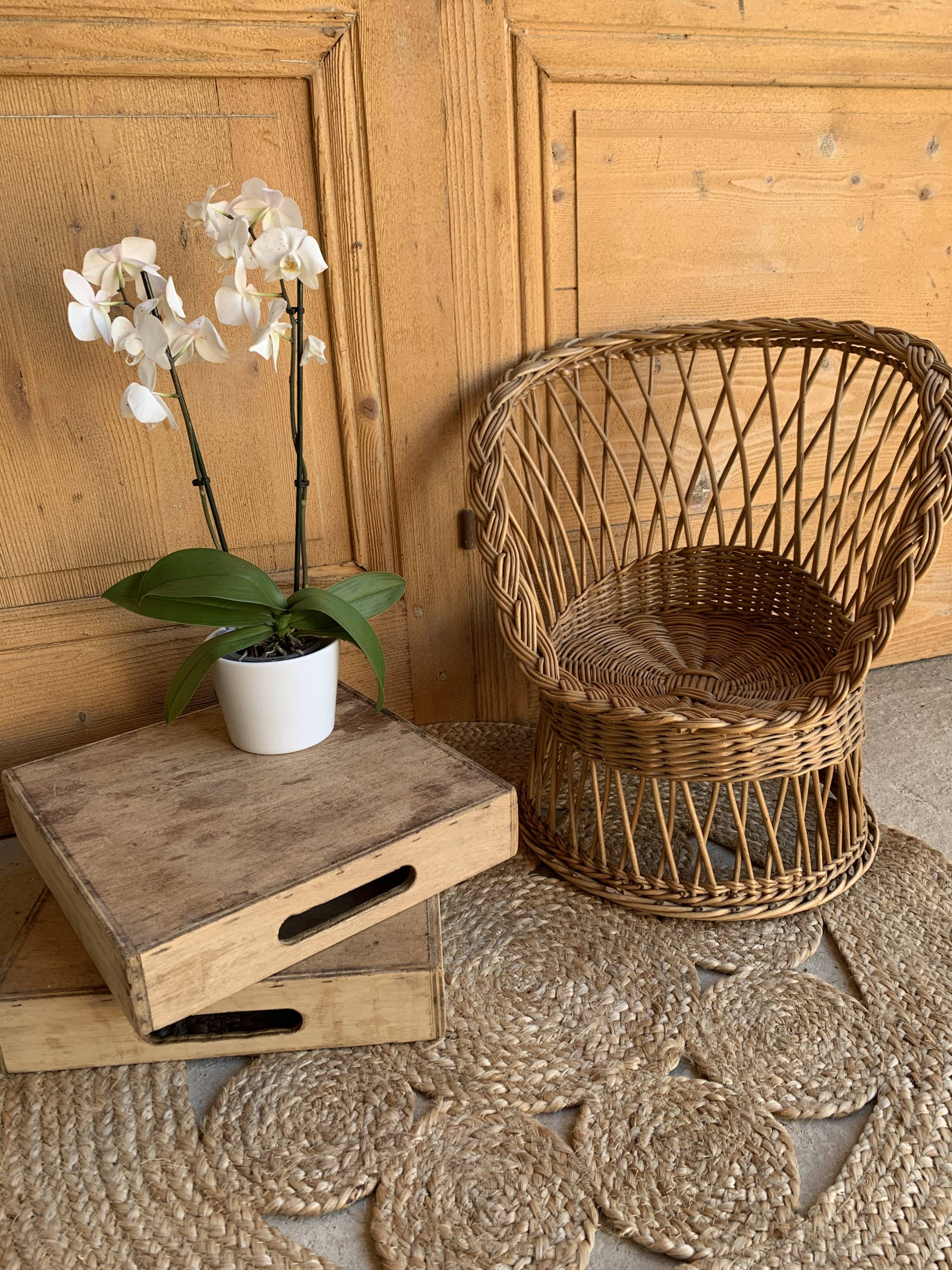 Children's rattan armchair