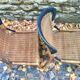 Paire de chaises en osier début XX eme siècle