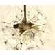 Vintage dandelion sputnik lamp