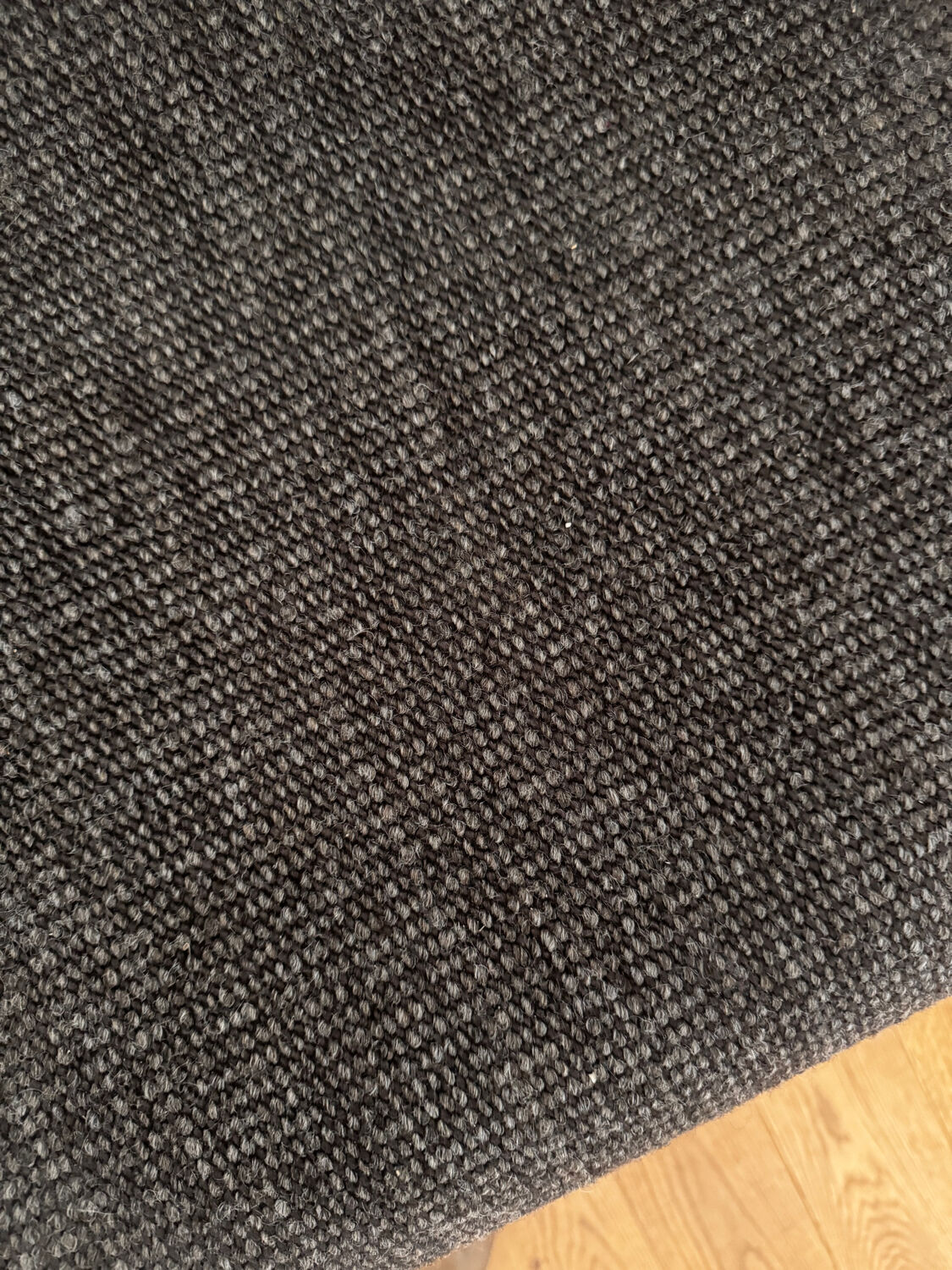 Fauteuils Orsay par Gae Aulenti pour Knoll