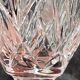 12 antique crystal champagne flutes