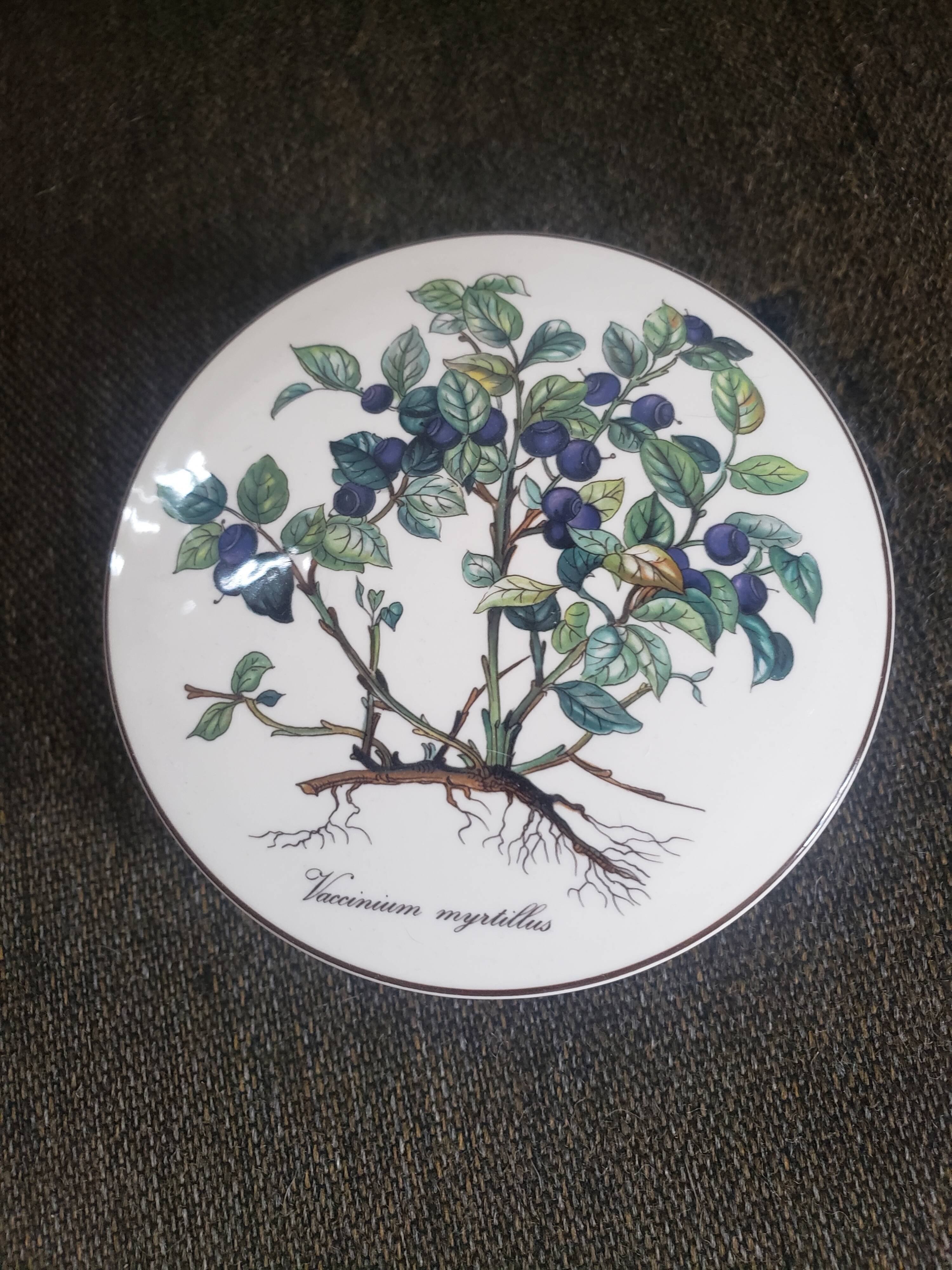 Porcelain box blueberries Villeroy and Boch