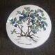 Porcelain box blueberries Villeroy and Boch