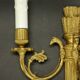 Pair of wall sconces, quiver and eagle heads, Louis XVI style - gilded bronze
