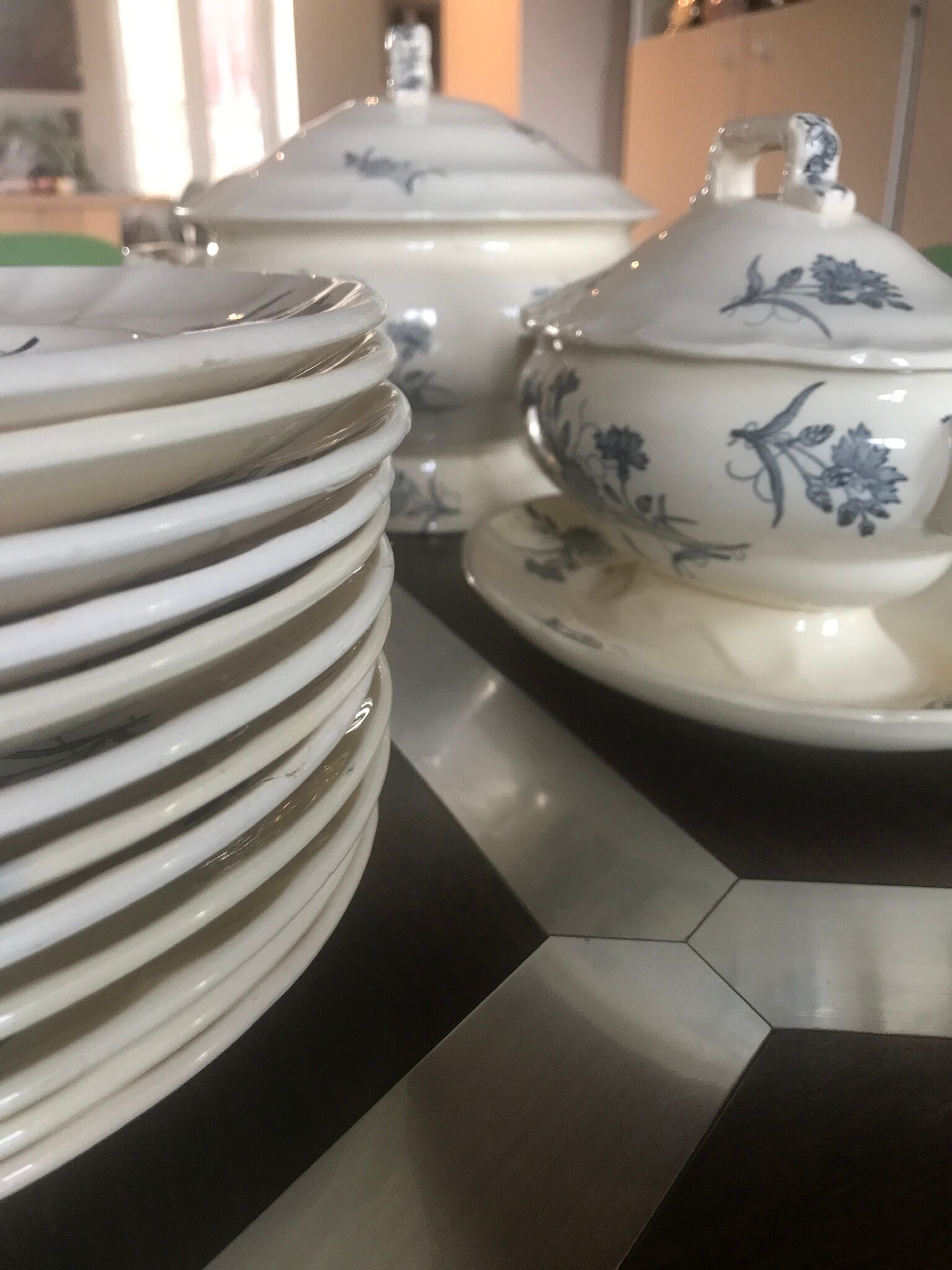 Lot de terre de fer Longchamp modèle Bluets