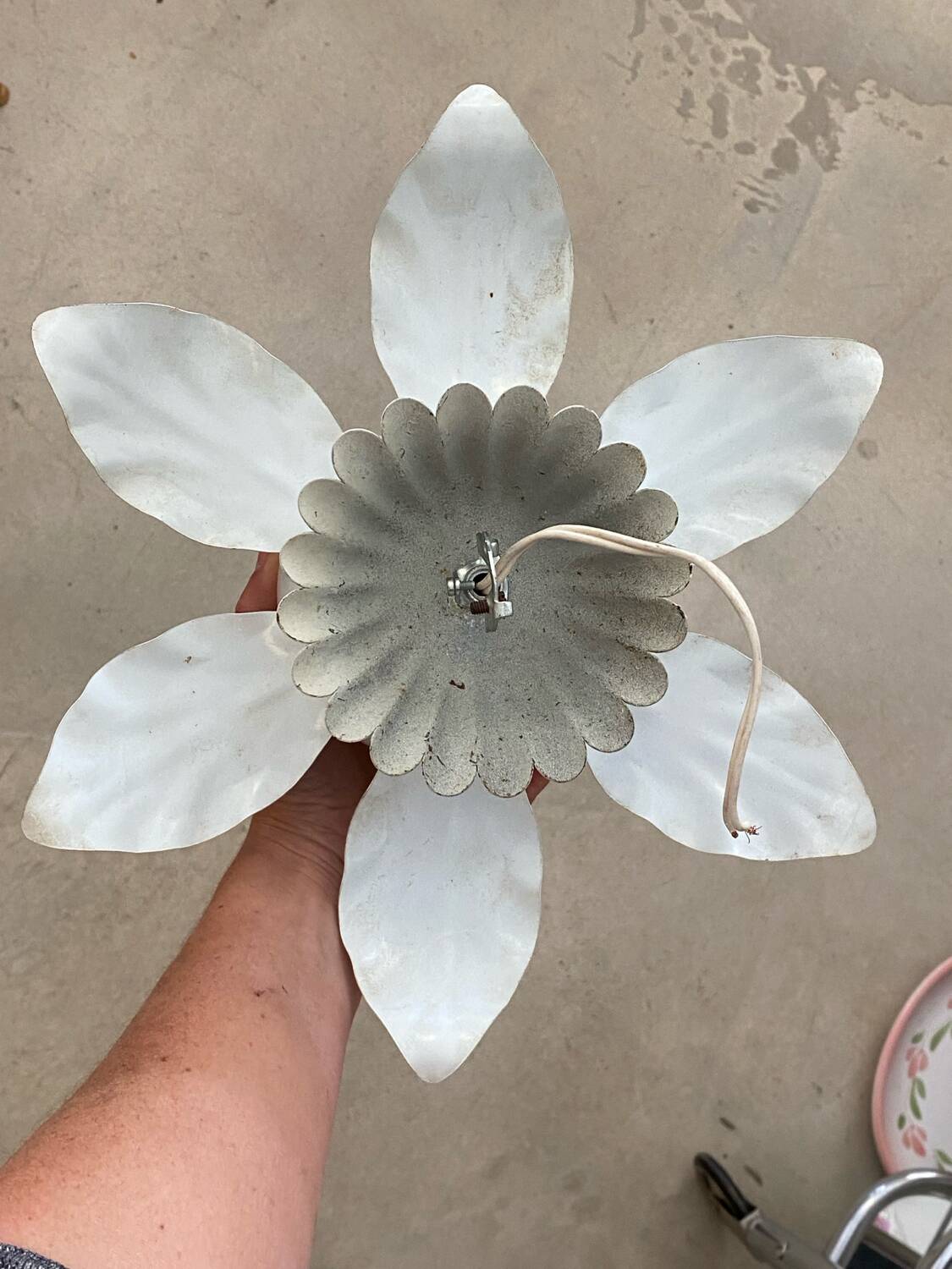 Flower wall light ceiling light