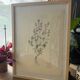 Thyme plant poster