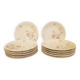 12 dessert plates Schumann Arzberg plates