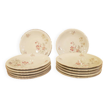 12 assiettes à dessert assiettes Schumann Arzberg