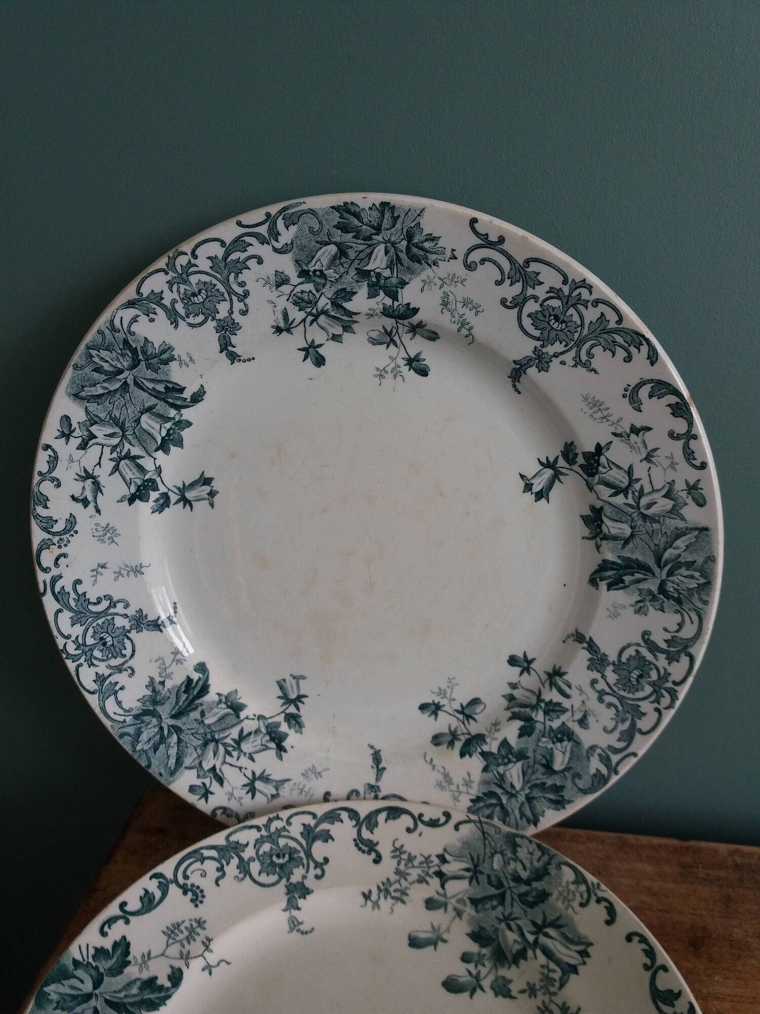Set of dishes and plates from Terre de fer Saint Amand and Hamage Campanule