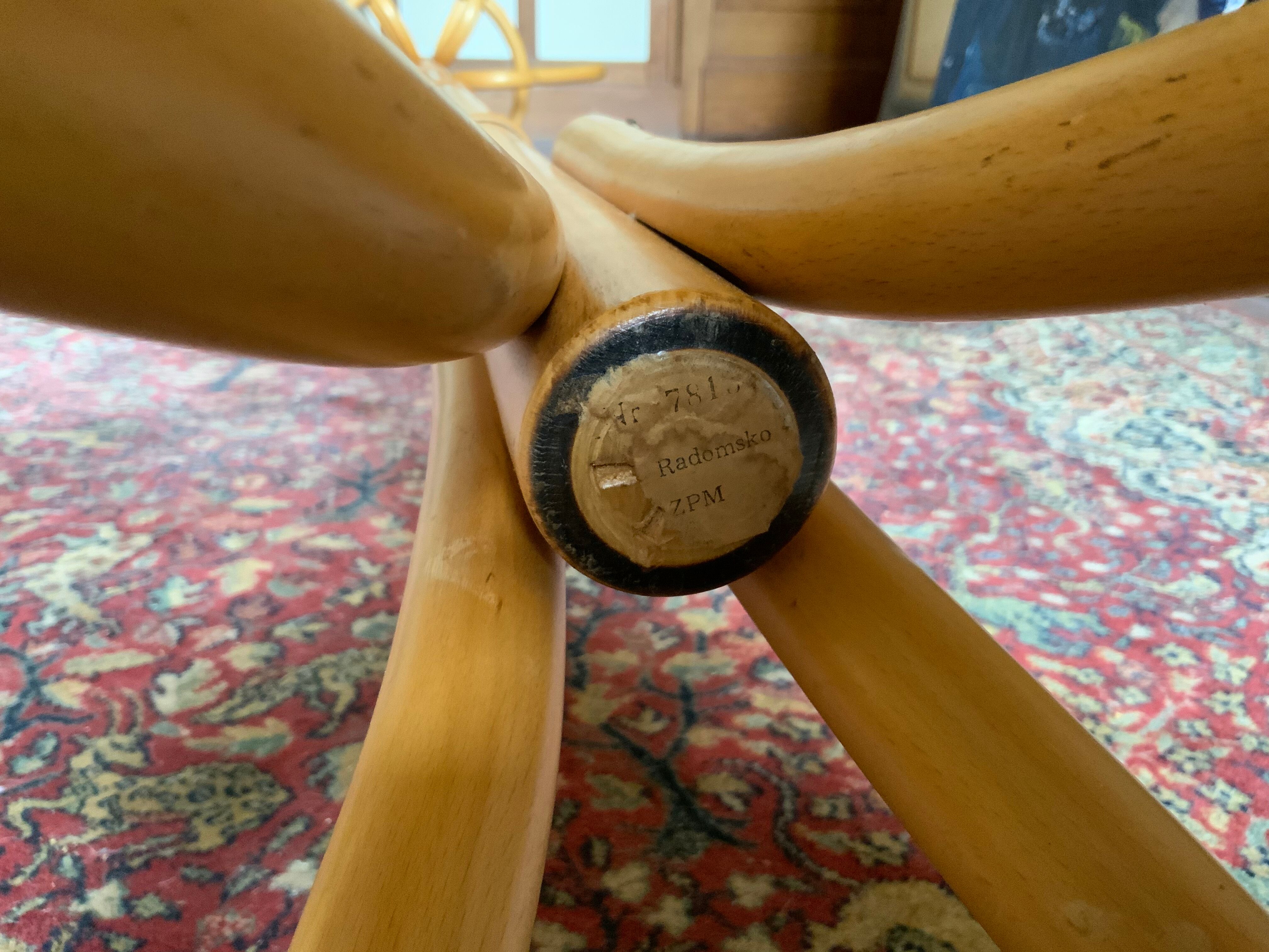 ZPM parrot coat door