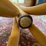 ZPM parrot coat door