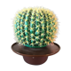 Cactus vintage fiber optic lamp 70s - 80s