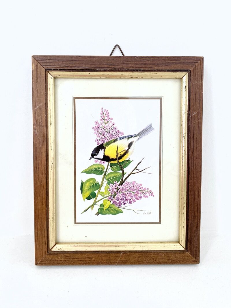 Set of three ornithological frames