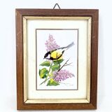 Set of three ornithological frames