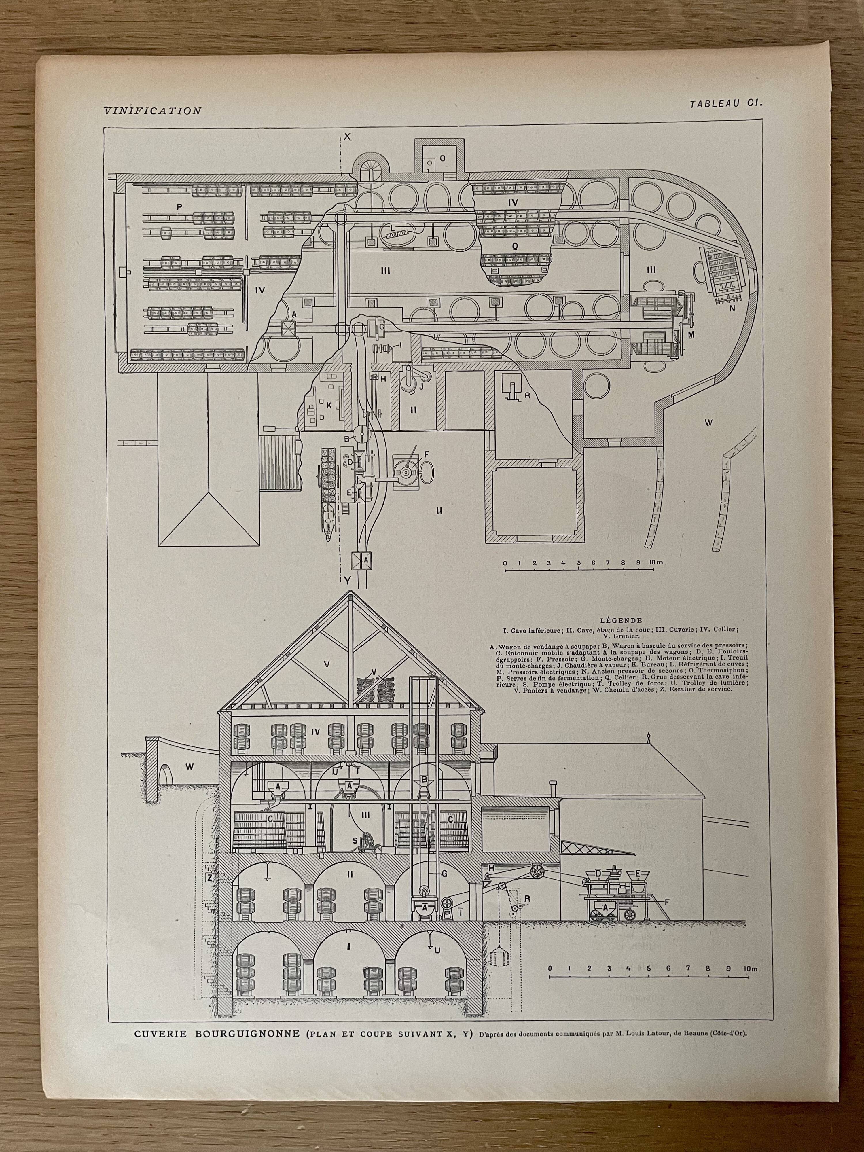 Lithograph on winemaking - 1920