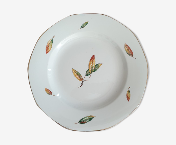 Plat Digoin Sarreguemines