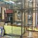 Store window with sliding doors in matte black patinated oak - 30s