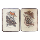 Set of 2 wooden boards with butterfly botanical board