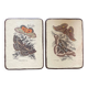 Lot de 2 tableaux en bois avec planche botanique papillons
