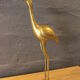 Stork status