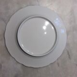 5 plates flat decoration wild ivy