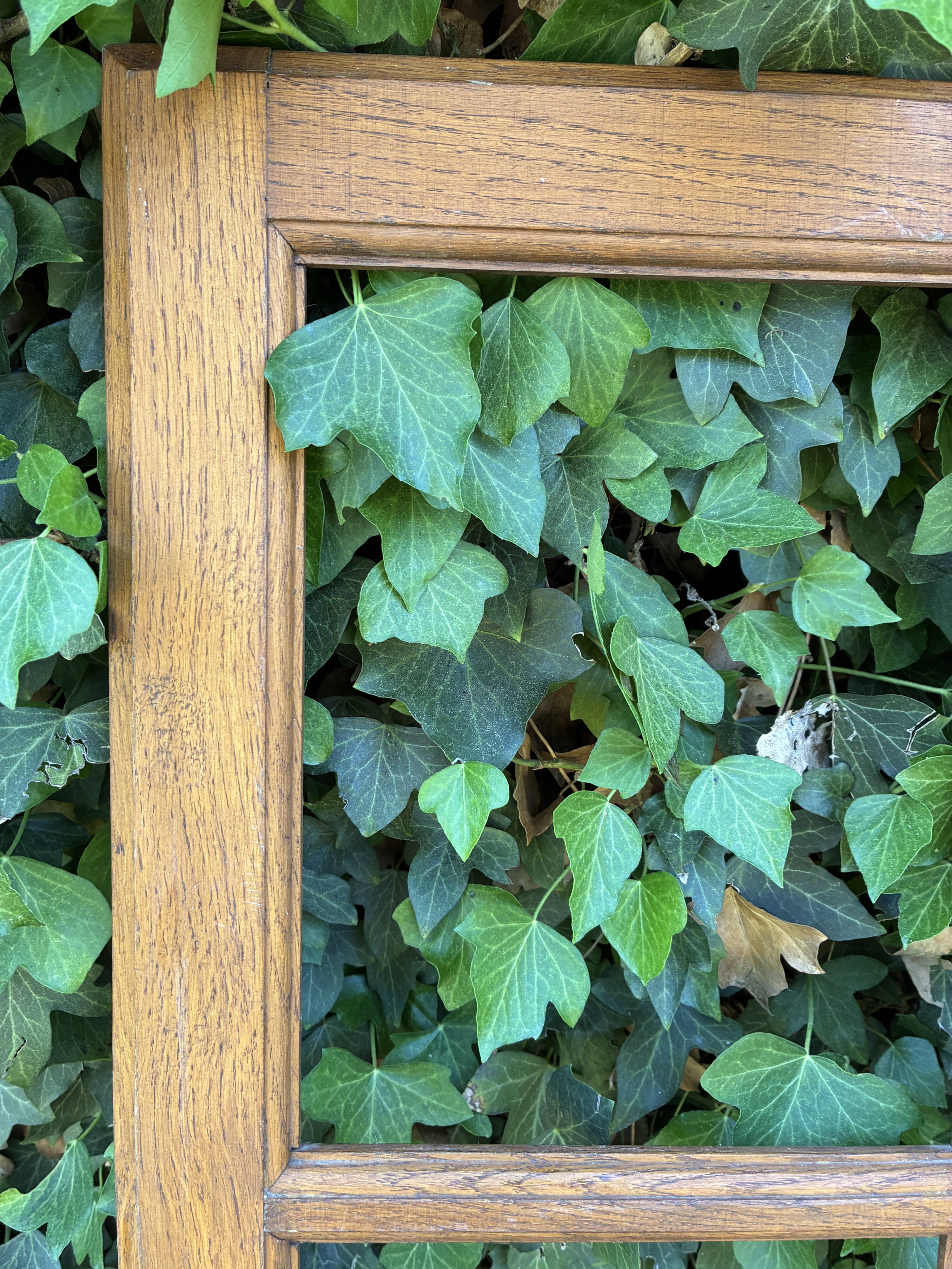 Oak wardrobe door