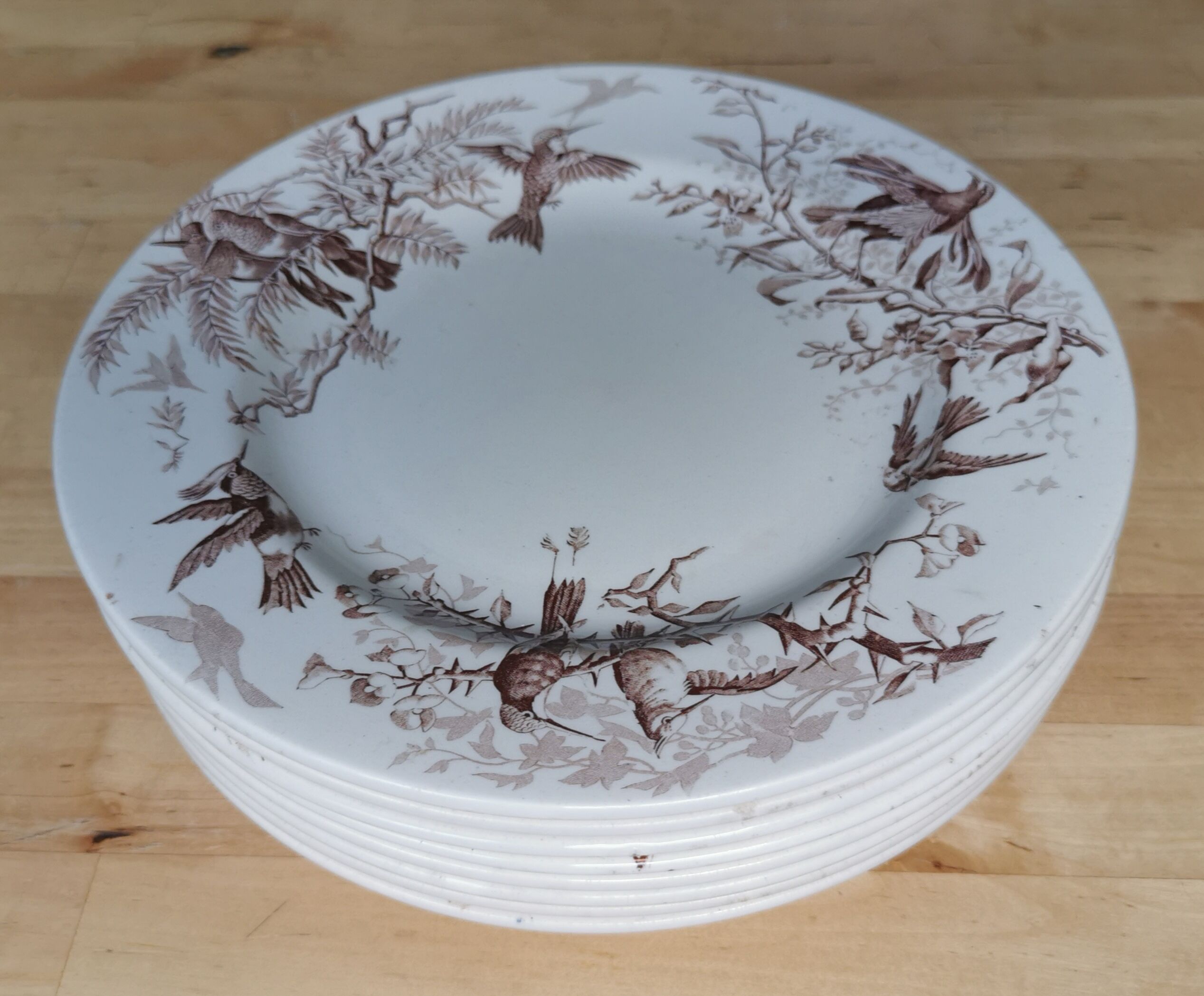 Lot of 8 Colibri luneville plates